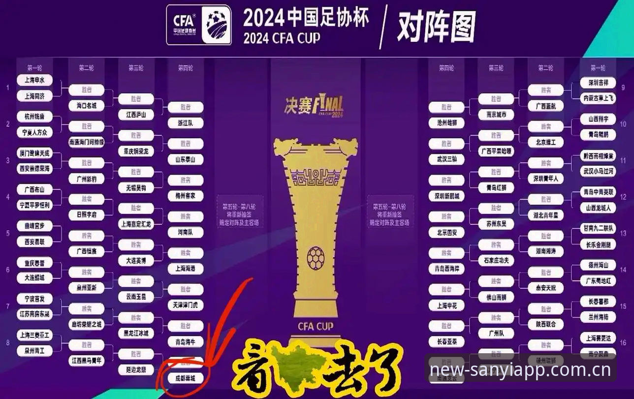 足协第三批禁足名单详解——从三亿体育平台看中国足球整顿风暴